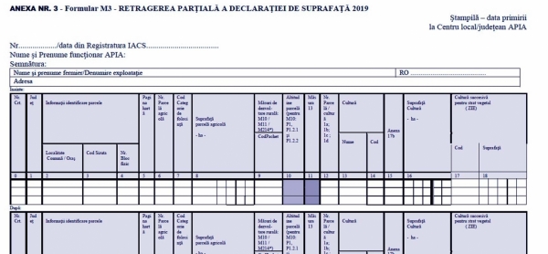 m3-cerere-2019_b m3-cerere-2019_b