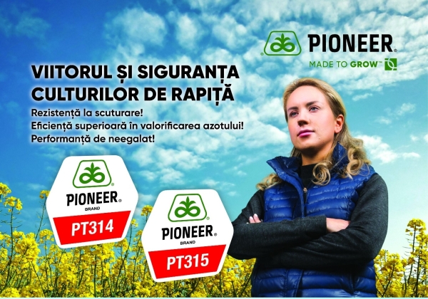 Macheta Rapita Hibrizi 01_b