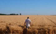 Tehnologiile de vârf protejează și întăresc sănătatea culturilor agricole din România