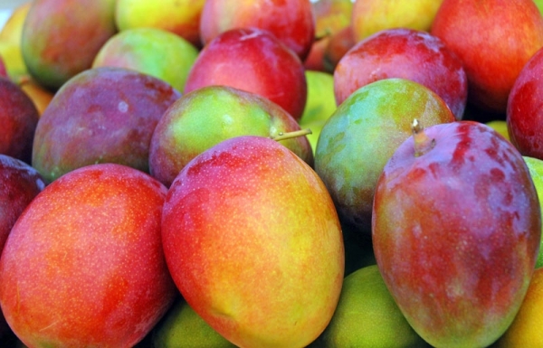 mango_b mango_b