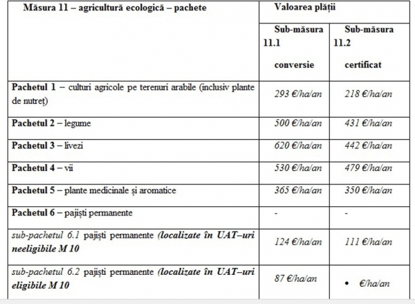 masura-11-tabel_b masura-11-tabel_b