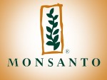 Monsanto raportează rezultatele pentru anul fiscal 2013-2014. Vezi cum au mers vânzările de seminţe!