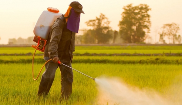 neoni pesticide_b