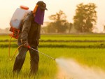 Zone libere de pesticide în jurul districtelor rezidenţiale