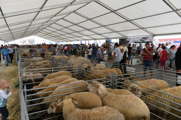 oi-la-agromalim-2016_b