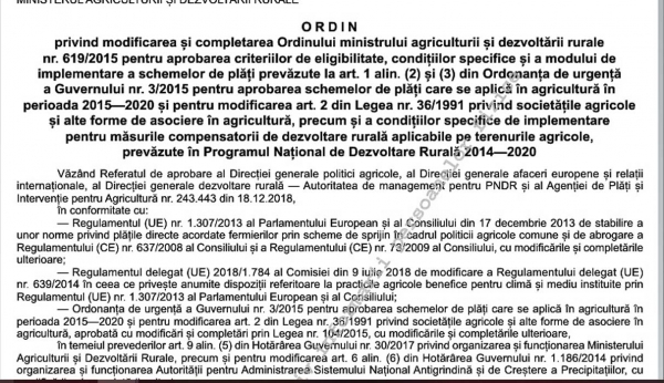 ordin-619-2019_b
