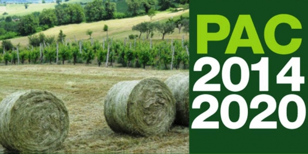 pac-italia_b