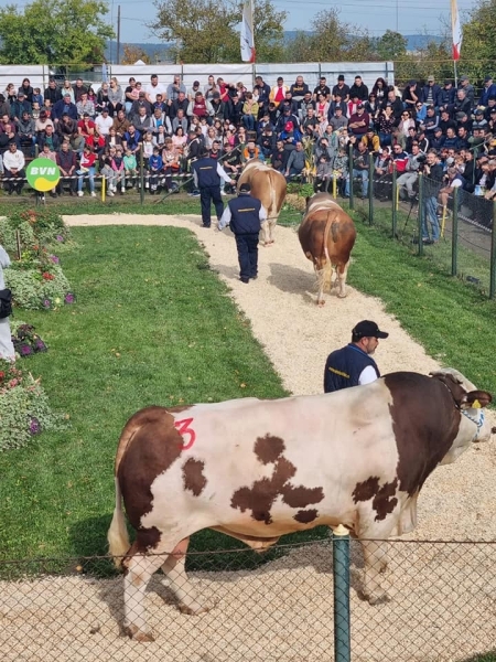 parada semtest 2022_b