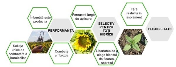 Picture3_b Picture3_b