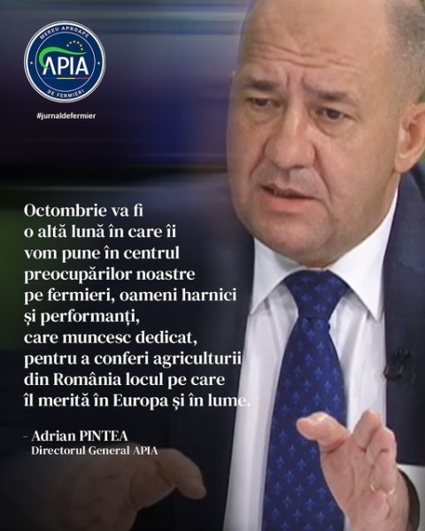 pintea oct_b