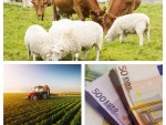 Noutăți APIA ACUM: Plata subvențiilor APIA fermieri, crescători de animale!