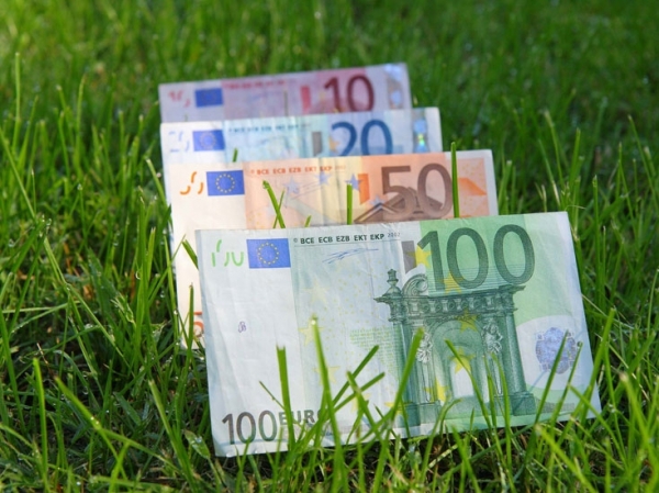 APIA: Subvenție suplimentară anul acesta de 85,50 euro/ha! Beneficiari, condiții!