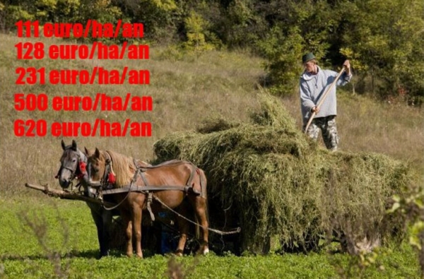 plati-masuri-pndr_b plati-masuri-pndr_b