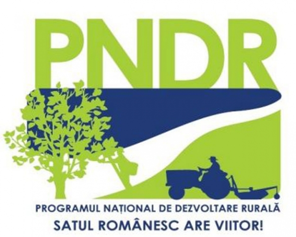 PNDR2_b
