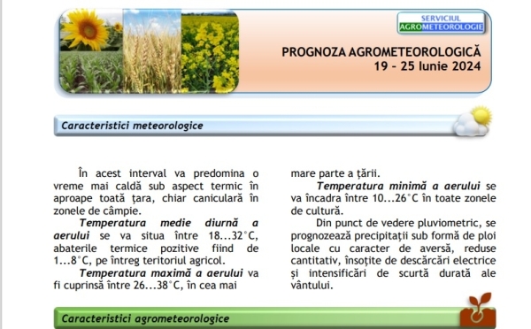 progno iun_b