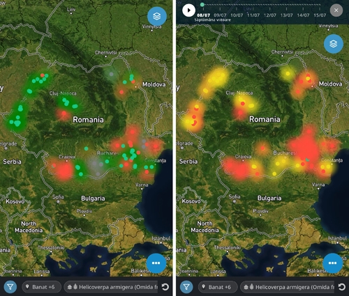 Prognoza presiunii de atac a dÄƒunÄƒtorilor pentru sÄƒptÄƒmÃ¢na viitoare_b