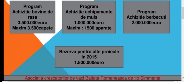 program-bani_b