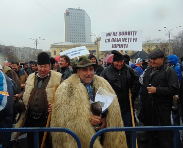 protest-bituse-2_b