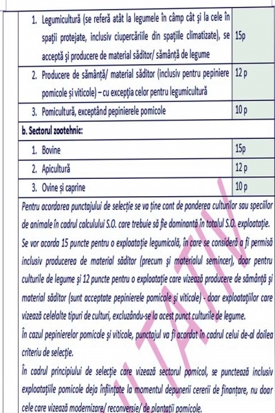 punctaj-ferme-mici_b