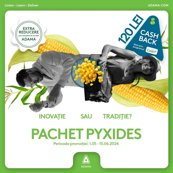 pyxides promo_b