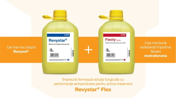 revystar_flex_1_b