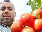 Un român întors în țară după 12 ani în Italia s-a apucat de cultivat legume!