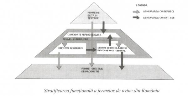 schema-ameliorare_b