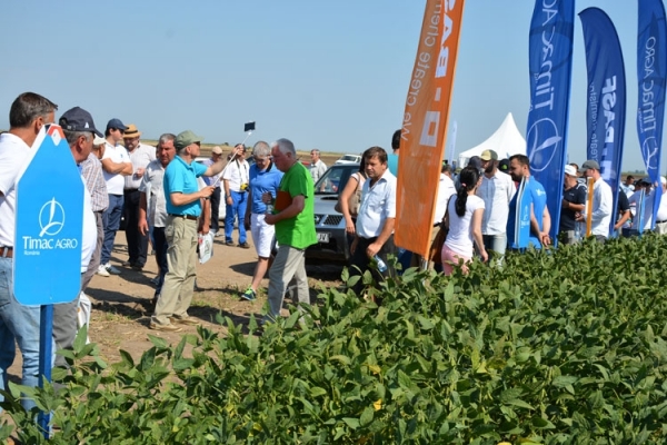 SOIA-LOT4_b SOIA-LOT4_b