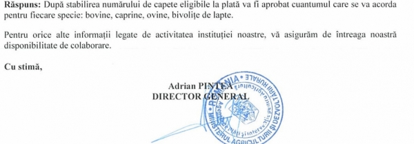 stampila-apia_b
