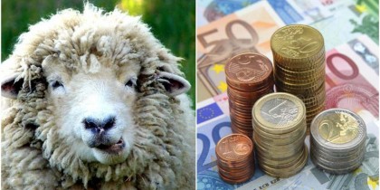 Oierii iau din septembrie anul ăsta 50 euro/ovină de la APIA! Anunț făcut ACUM de ministrul Barbu!