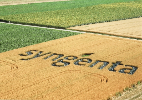 Syngenta-logo_b