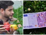 150 milioane de euro doar pentru legumicultori prin submăsura 4.1 din PNDR!