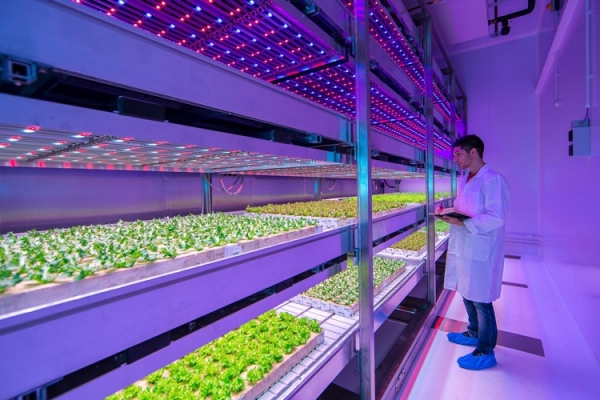 urbanizarea-agriculturii_b