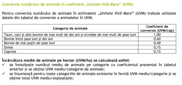 UVM 2024_b UVM 2024_b