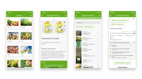 agassist-2_b