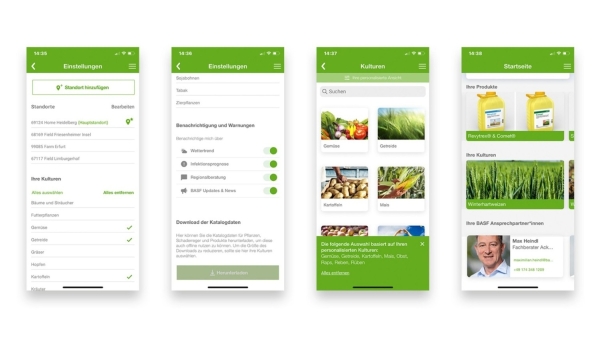 agassist-4_b