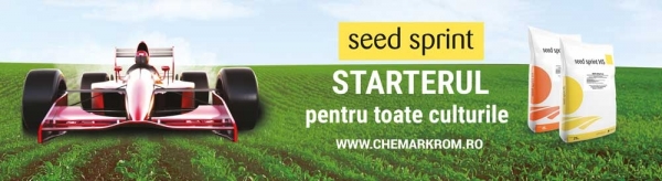 aSeedSprint-banner_b