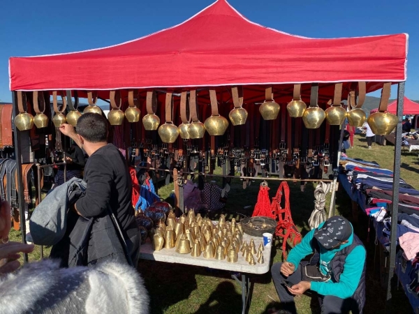 Breaza, Regina Turcanelor, Expozitie ovine Totesti (1)_b