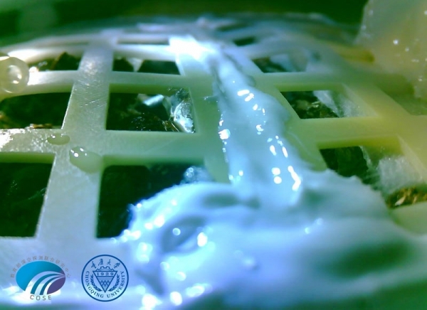 China-bumbac-cultivat-pe-Luna_b