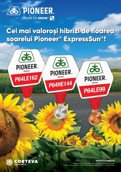 Hibrizii de floarea soarelui Pioneer_b Hibrizii de floarea soarelui Pioneer_b
