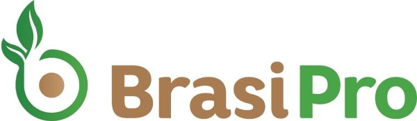 logo BrasiPro-_b