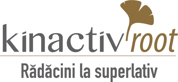 Logo Kinactiv Root-_b