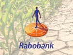 Prognoza Rabobank la început de an