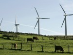 Politica unui „pierde vânt” şi de ce pierdem eolienele?