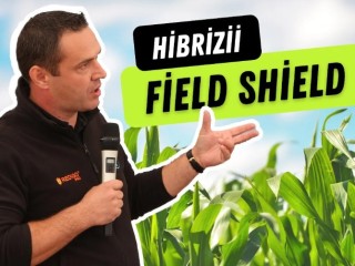 Hibrizii Field Shield fac diferenţa în condiţii de secetă accentuată